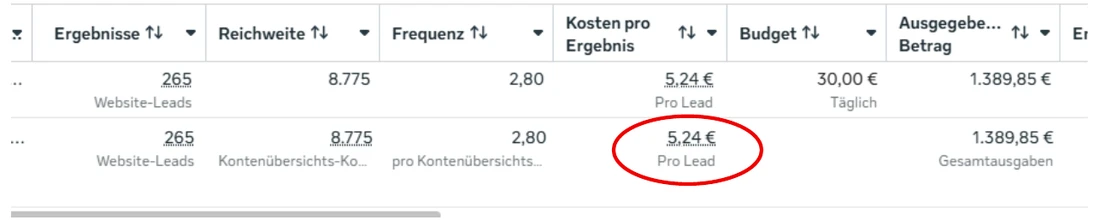 Werbekonto-Auswertung Privatkredite: 265 Website-Leads zu 5,24 € pro Lead